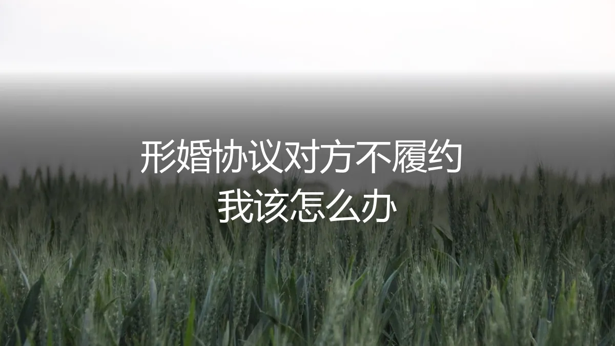 形婚协议对方不履约，我该怎么办？一份保姆级危机处理与维权指南