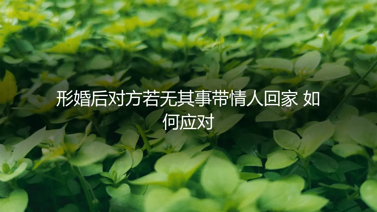 形婚后对方若无其事带情人回家，如何应对与破局