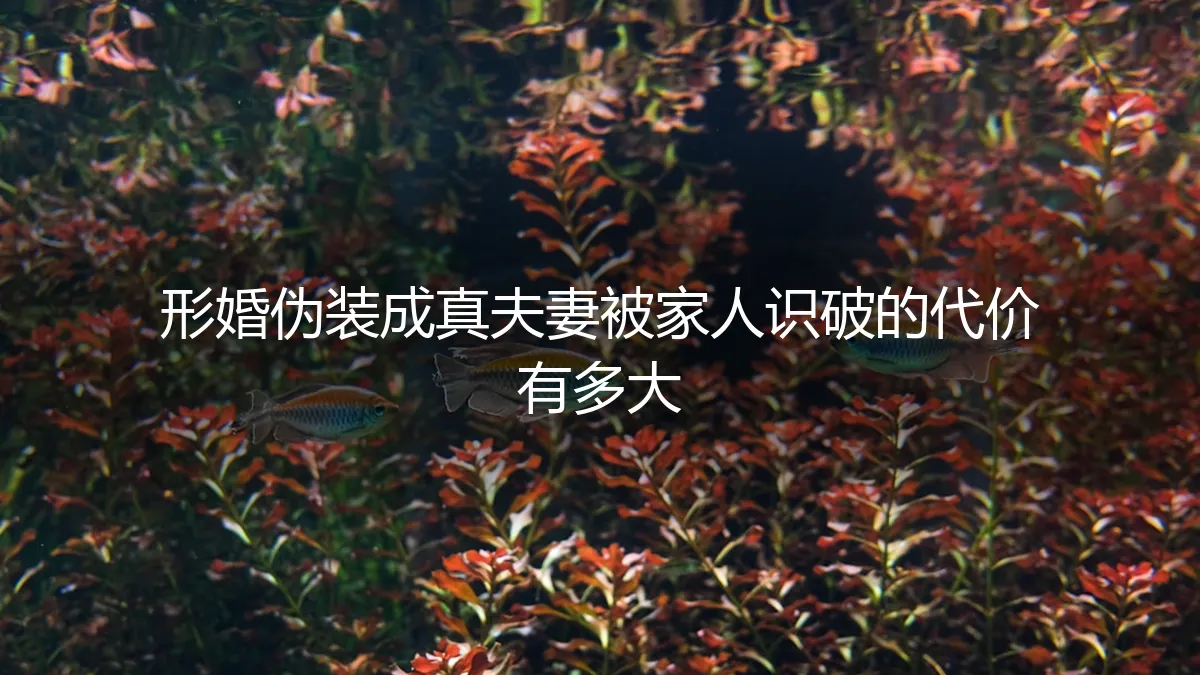 那场精心策划的除夕夜，与母亲识破我形婚后的沉默