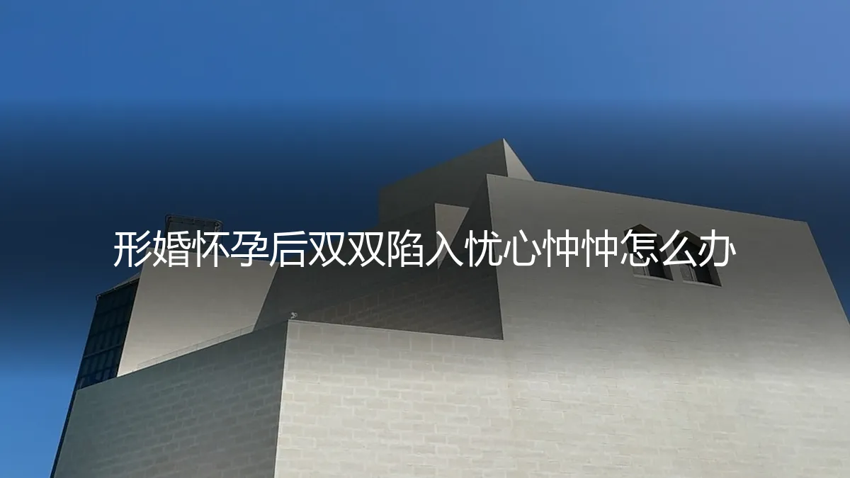 形婚怀孕后双双陷入忧心忡忡：如何厘清责任、边界与未来？