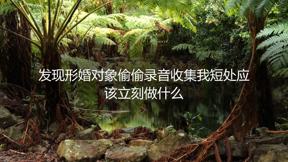 形婚危机预警:发现对方偷偷录音收集把柄,我该如何紧急应对?