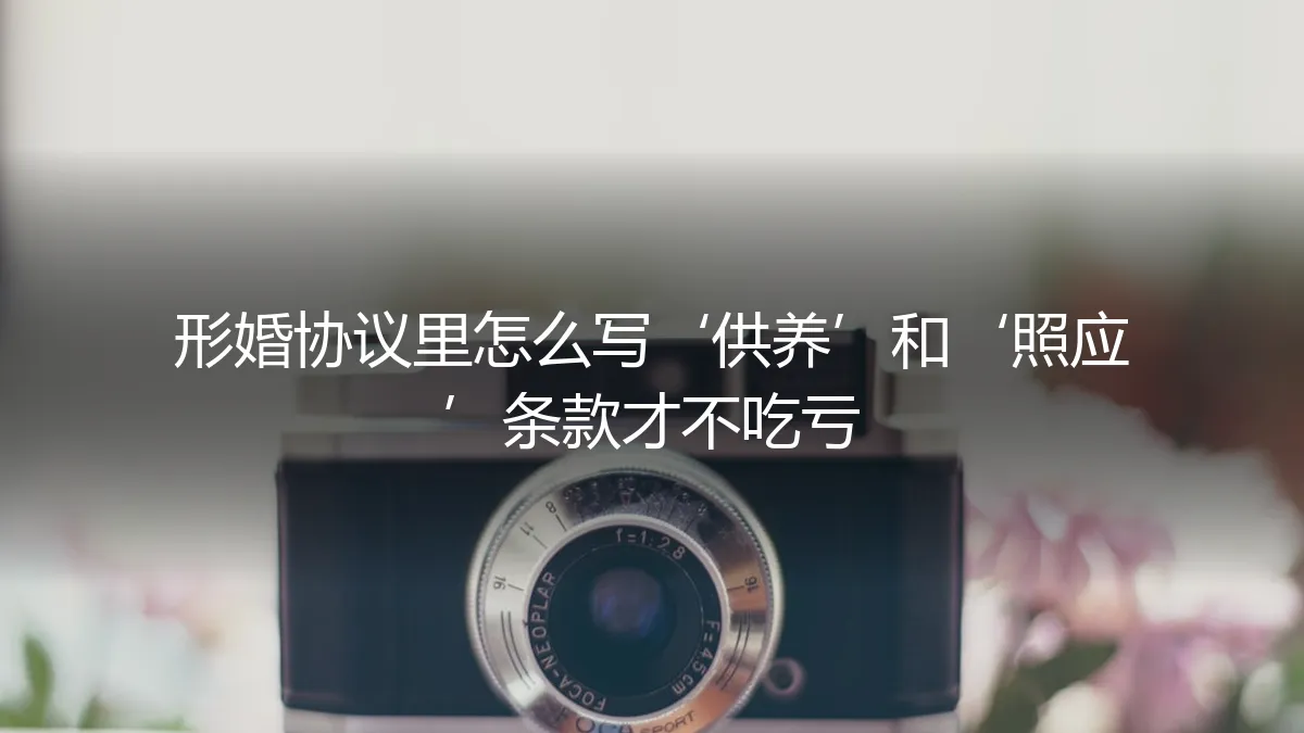 形婚协议里怎么写‘供养’和‘照应’条款才不吃亏?保姆级避坑指南