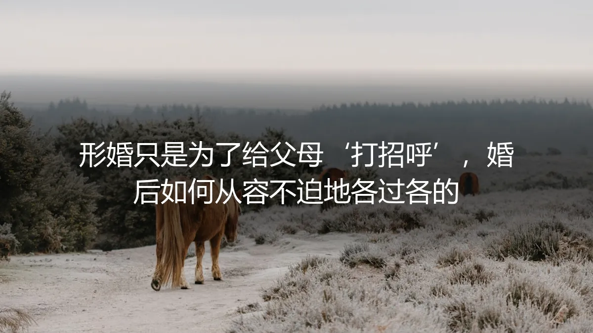 形婚不只是“打招呼”:一份让婚后各过各的从容不迫的保姆级避坑指南