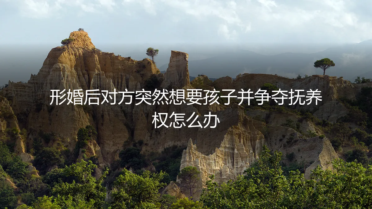 形婚危机:当“协议伴侣”突然想要孩子并争夺抚养权,如何破局?