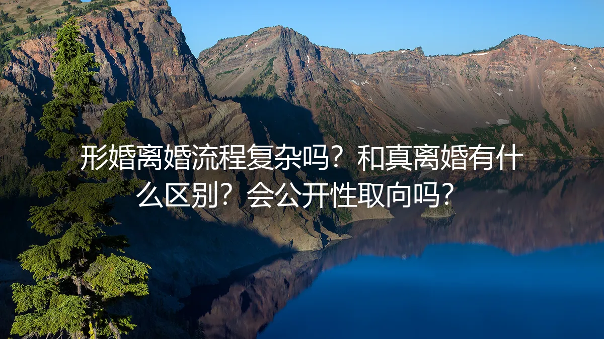 形婚离婚:流程、风险与隐私保护的深度解析