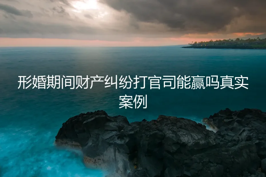 形婚期间财产纠纷打官司能赢吗?一个真实案例的深度剖析
