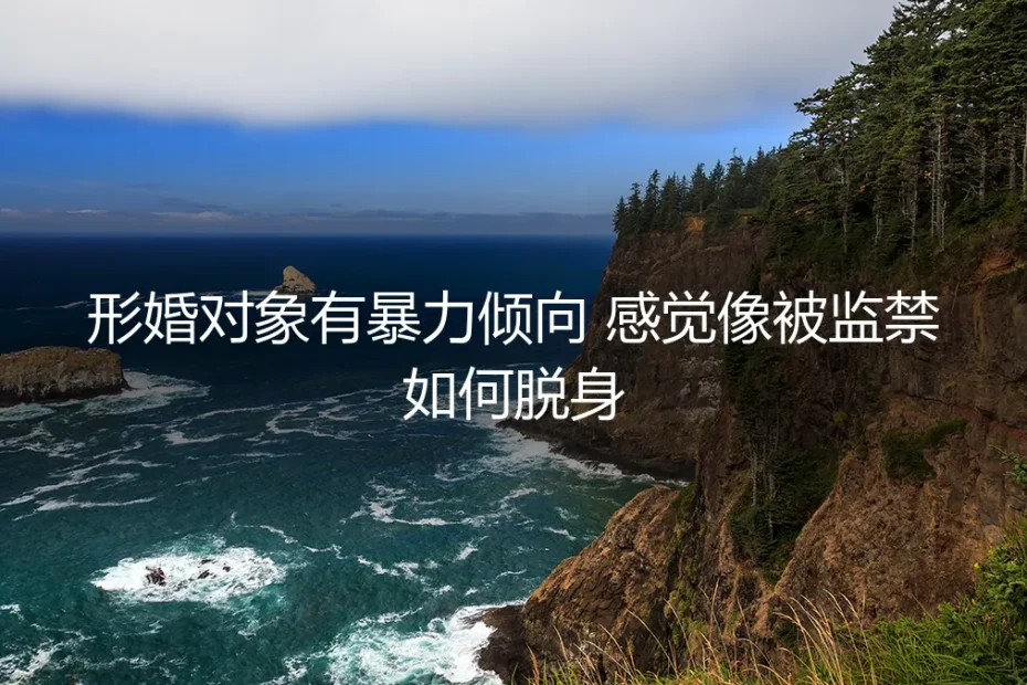 形婚困局：当协议伴侣显露暴力倾向，如何安全脱身与法律维权