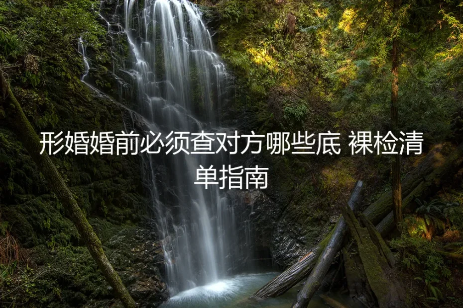 形婚婚前必查“底细”指南:一份不容忽视的裸检清单与避坑手册