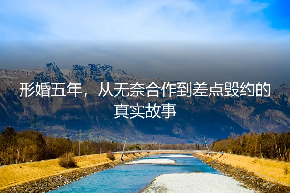 形婚五年:从无奈合作到差点毁约的真实故事