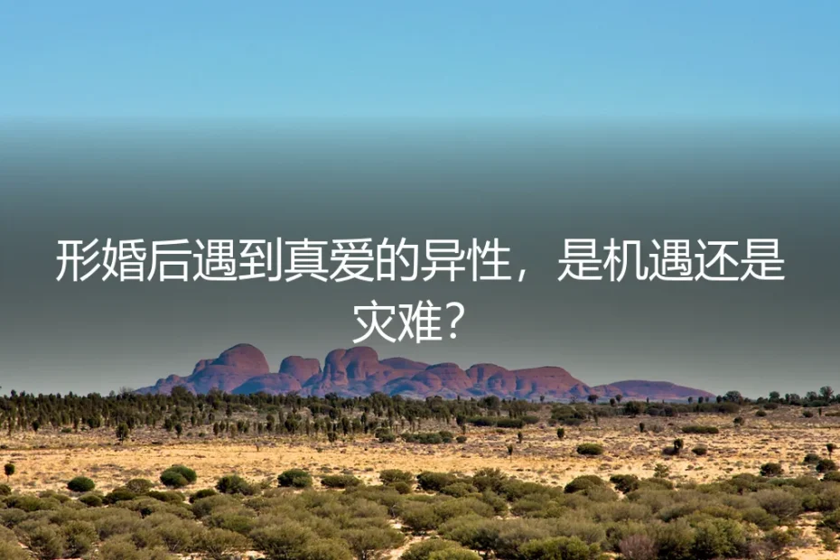 形婚围城里的意外来电:当“真爱”在协议之外响起