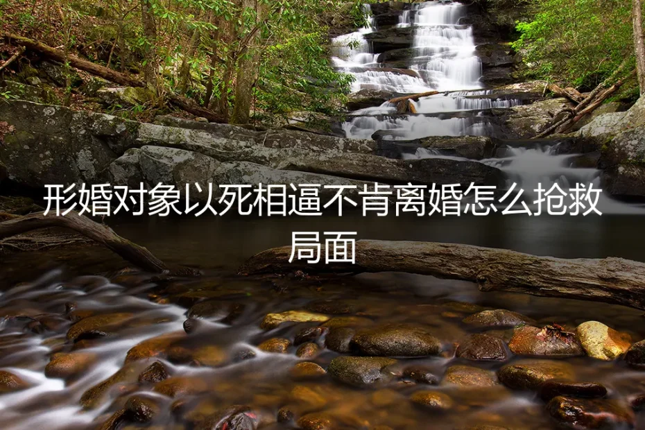 形婚困局:当对象以死相逼不肯离婚,如何破局与自救?