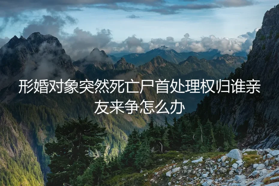 形婚对象猝然离世，遗体处理权与财产争夺战：一场没有硝烟的战争