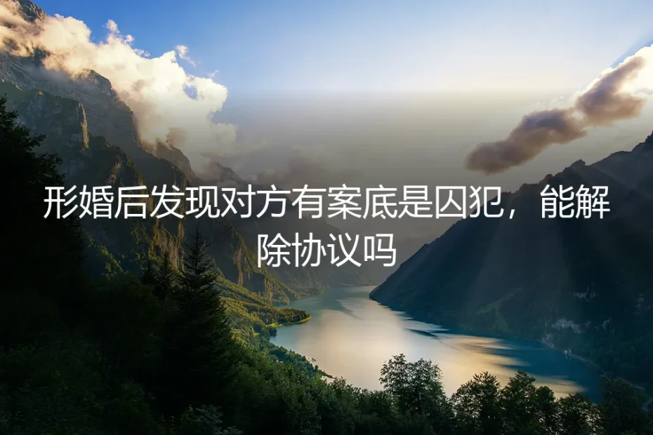 形婚背后:发现伴侣有案底的囚徒困境,协议如何解除?