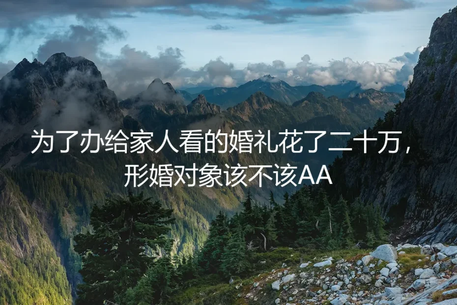 形婚办给家人看的婚礼,二十万花费该不该AA?深度剖析风险与契约