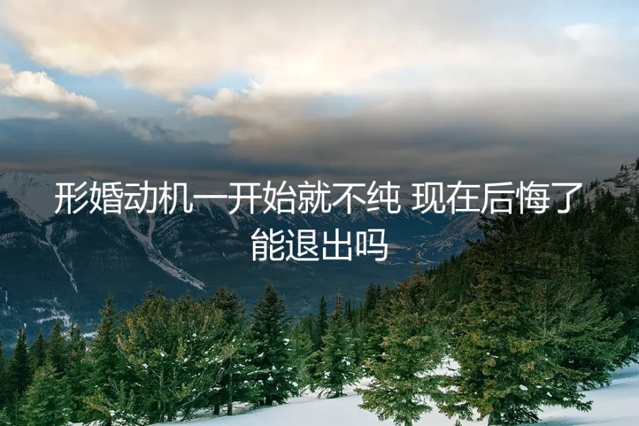形婚动机不纯,中途后悔想退出?深度解析风险与路径