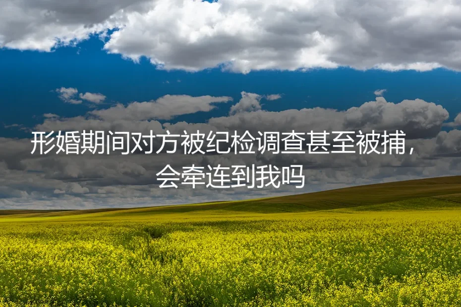 形婚期间对方被纪检调查或被捕,我会被牵连吗?风险剖析与法律指南