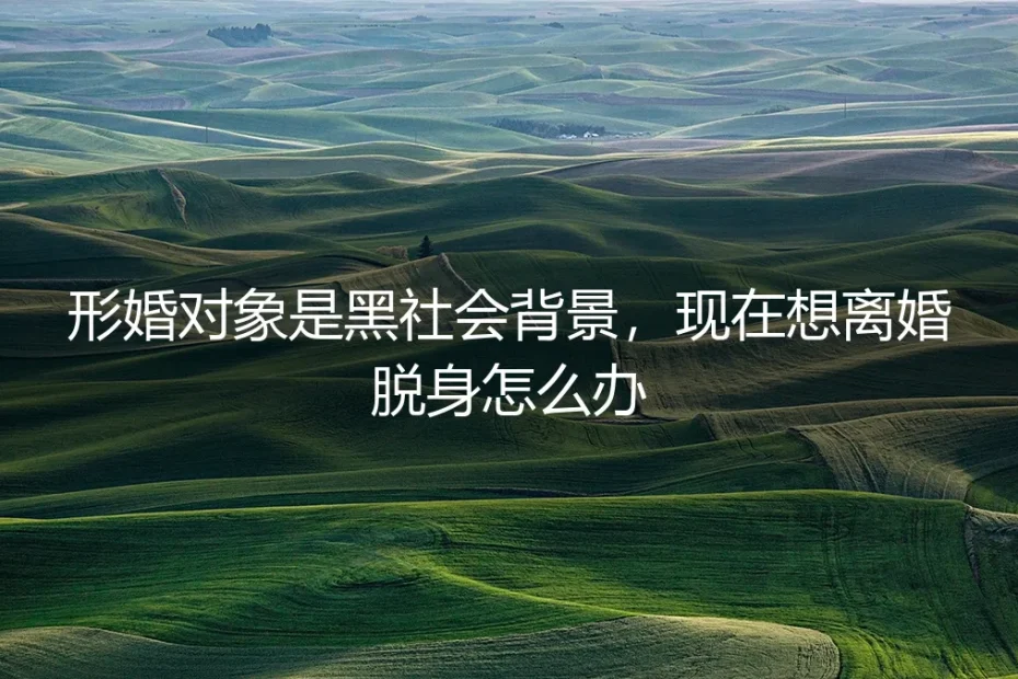 形婚遇险境:当协议对象涉黑,如何安全脱身与止损?