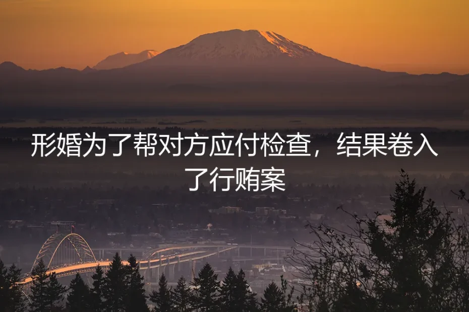 一场为应付检查的形婚,如何让我卷入行贿漩涡
