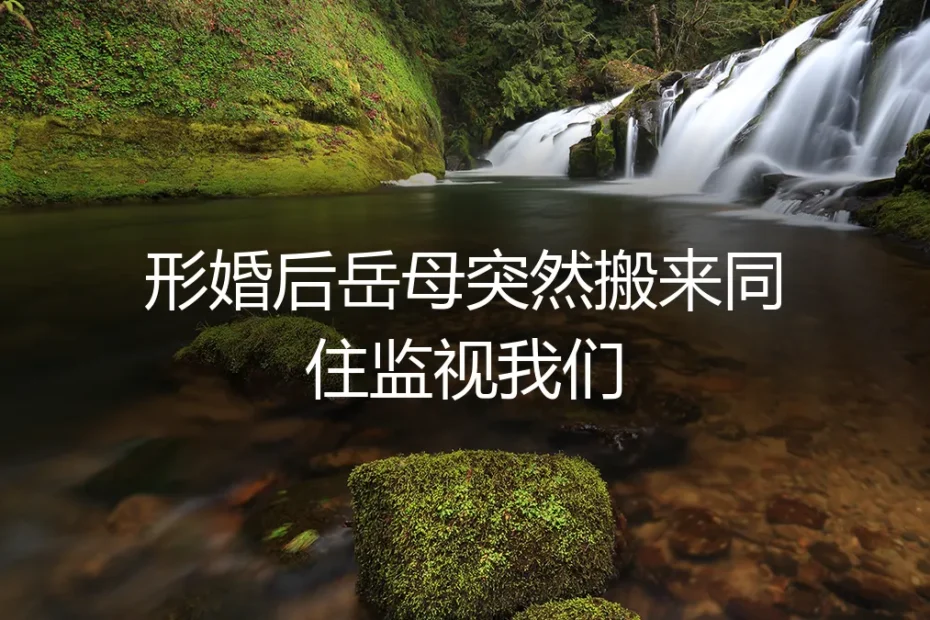 形婚后岳母突然搬来同住:当“合作婚姻”遭遇家庭监视的破局之道