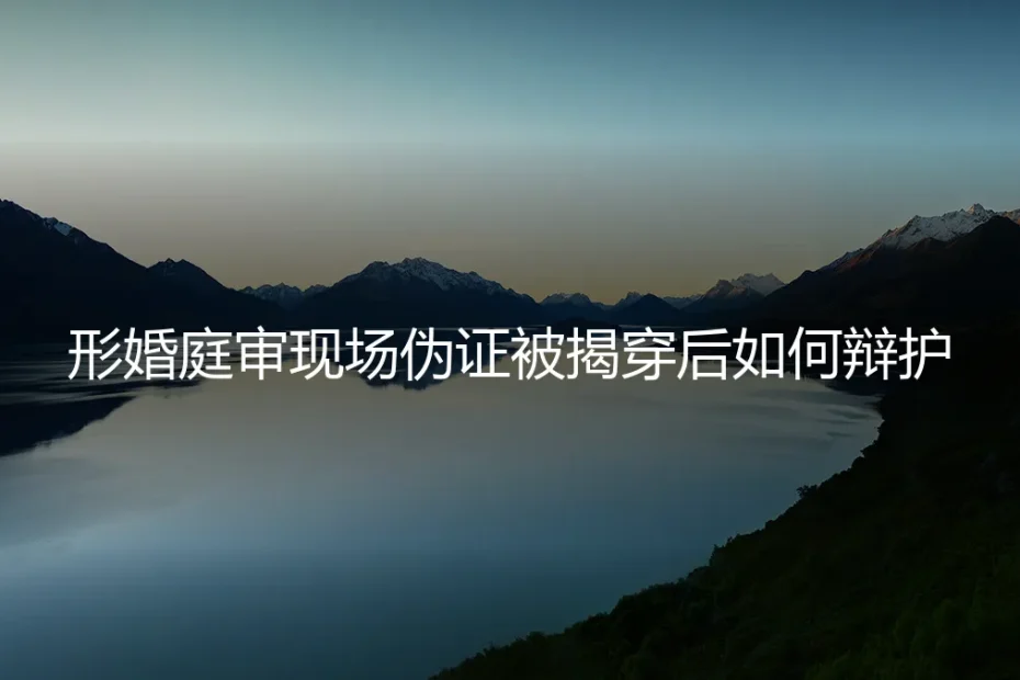 形婚庭审现场：伪证被揭穿后的辩护策略与风险警示