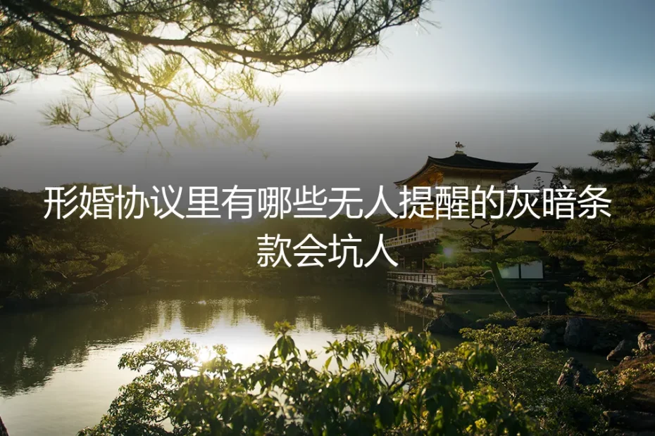 形婚协议避坑指南：那些无人提醒却足以坑人的灰暗条款