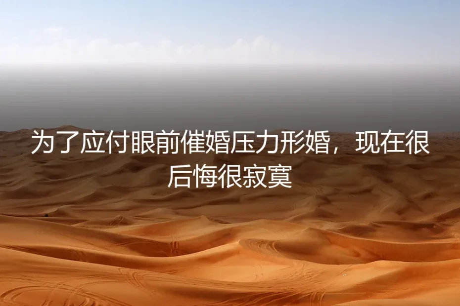 除夕夜的协议:一场形婚背后的孤独与和解