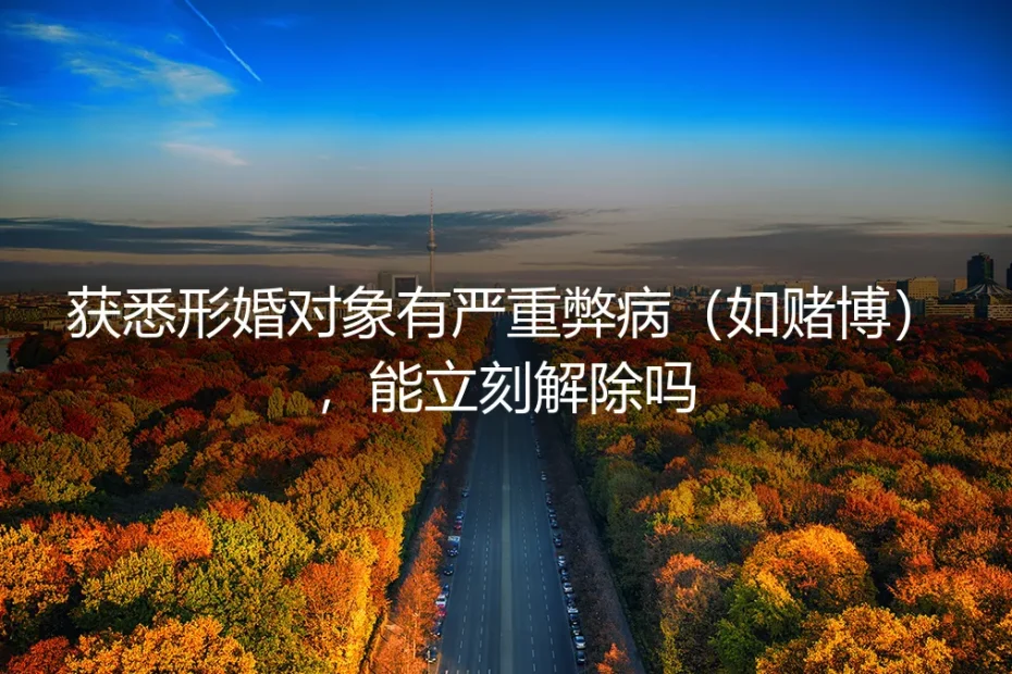 形婚对象有严重弊病(如赌博),能立刻解除关系吗?