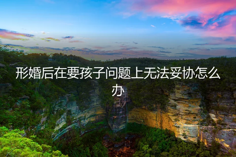 形婚之后，关于孩子的分歧如何破局？一份深度风险与应对指南