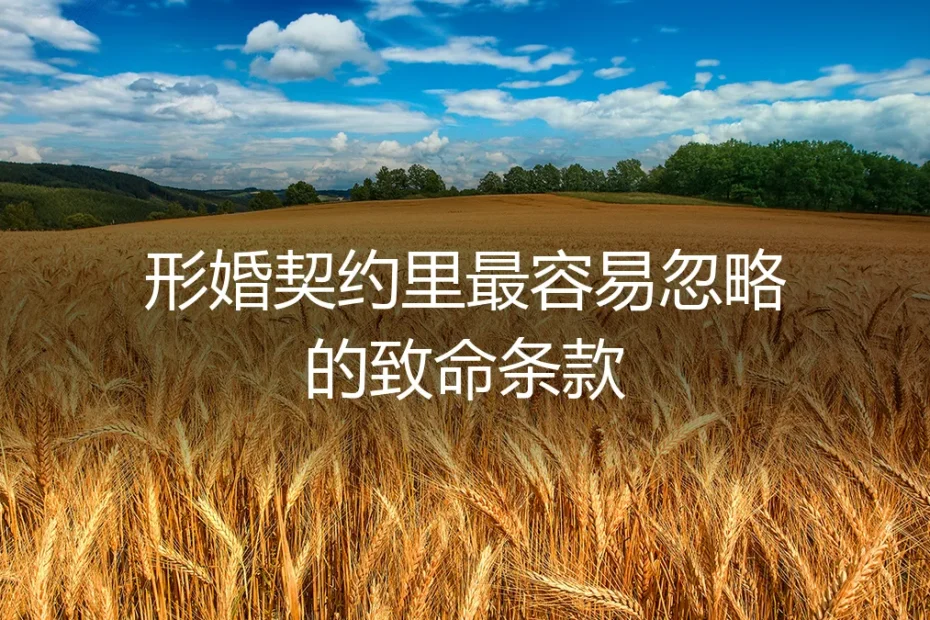形婚契约里最容易忽略的致命条款：一份保姆级避坑实操指南