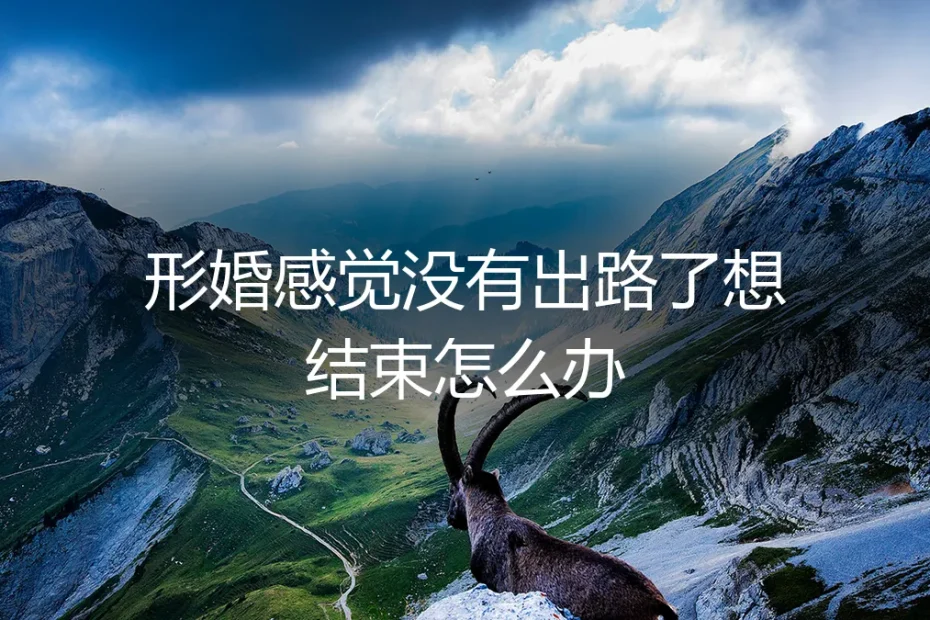 当协议成为枷锁:我的形婚突围记