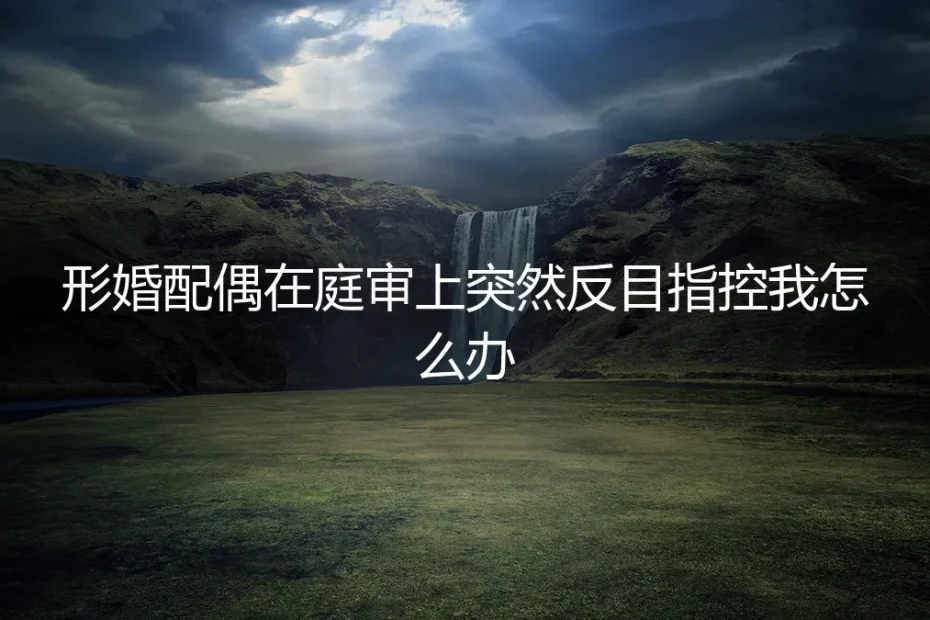 当形婚配偶在法庭上反目:一场没有硝烟的战争与我的和解之路