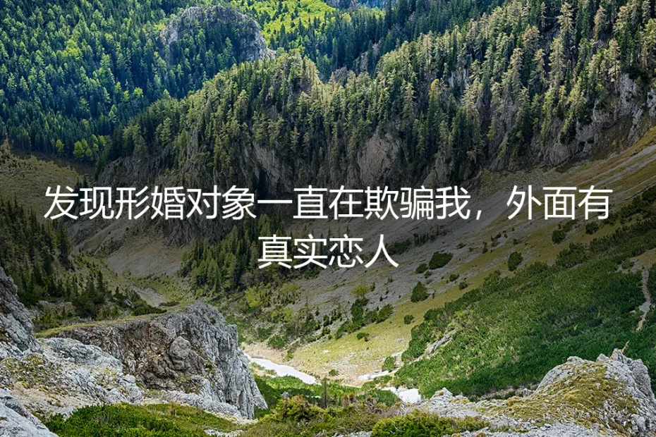 形婚骗局:当协议伴侣隐瞒真实恋人,如何应对与止损?