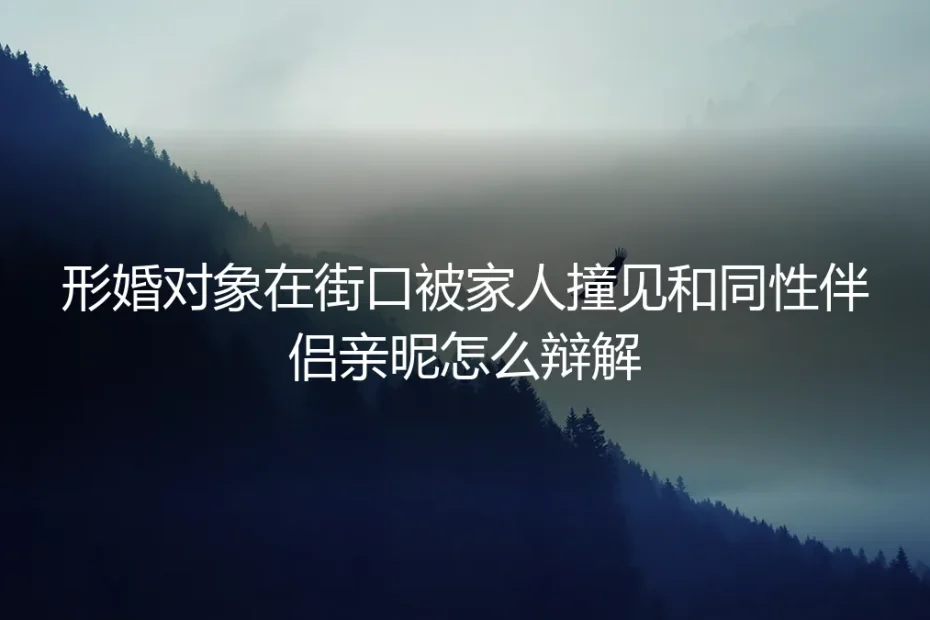 形婚避坑实操指南:当伴侣与同性爱人当街被撞见,如何危机公关与提前防御