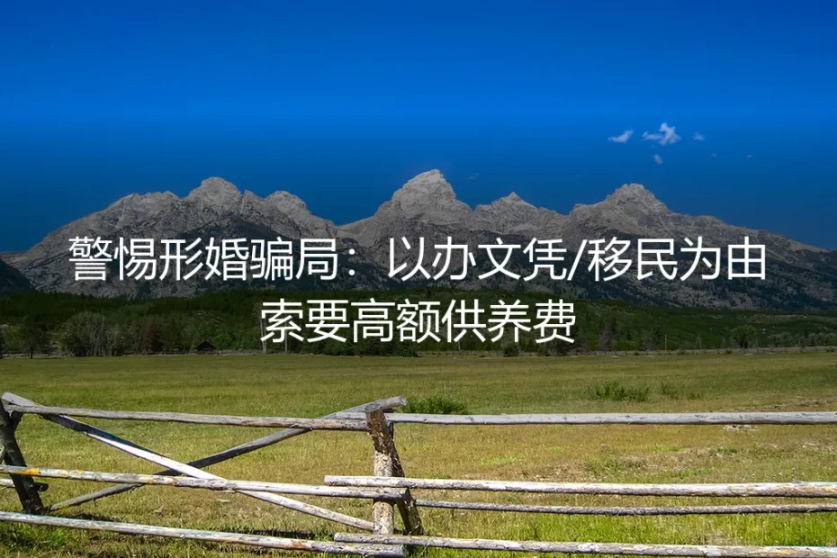 形婚避坑实战指南：识破文凭/移民骗局与高额供养费陷阱