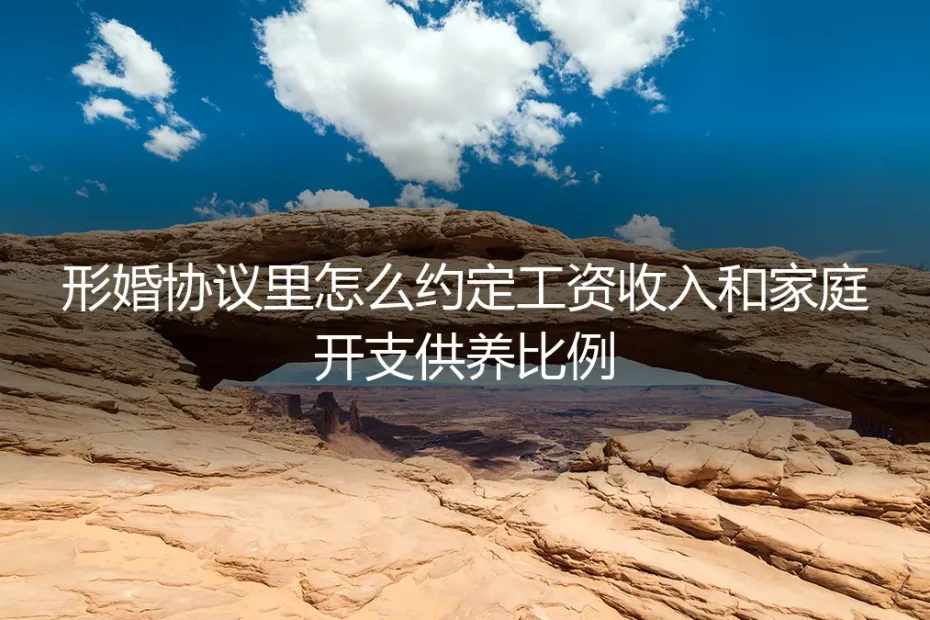 形婚协议实操指南:如何科学约定工资收入与家庭开支供养比例