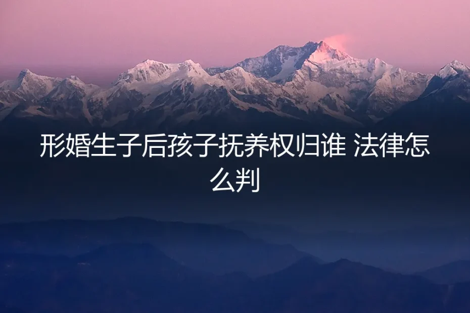 形婚生子后孩子抚养权归谁?法律判决的深层逻辑与风险规避