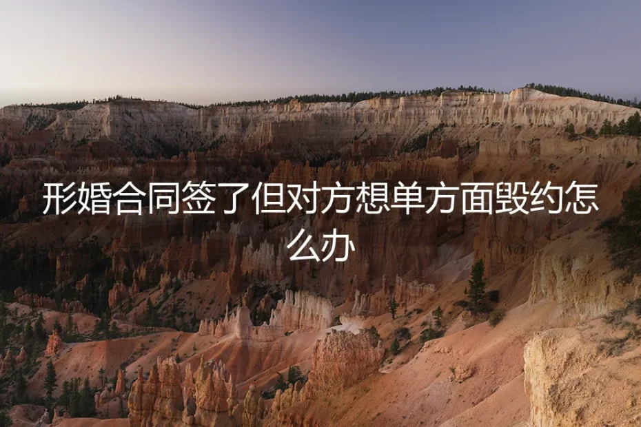 形婚合同签了,对方却想单方面毁约?深度剖析应对策略与风险防范