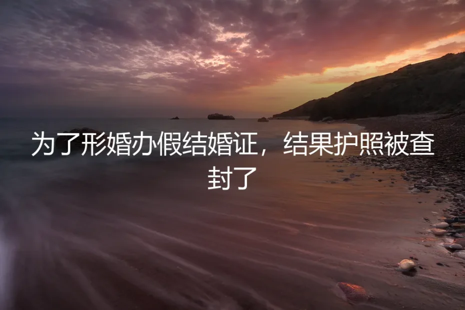 形婚办假证,护照被查封:一场法律风险的真实剖析