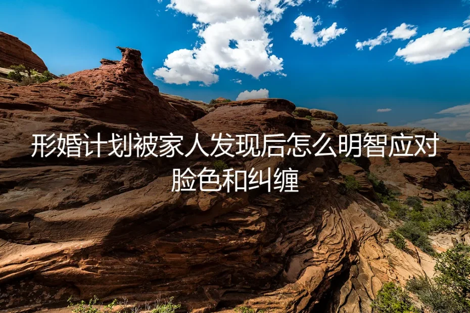 形婚计划意外曝光:如何智慧应对家人的追问与情感纠葛