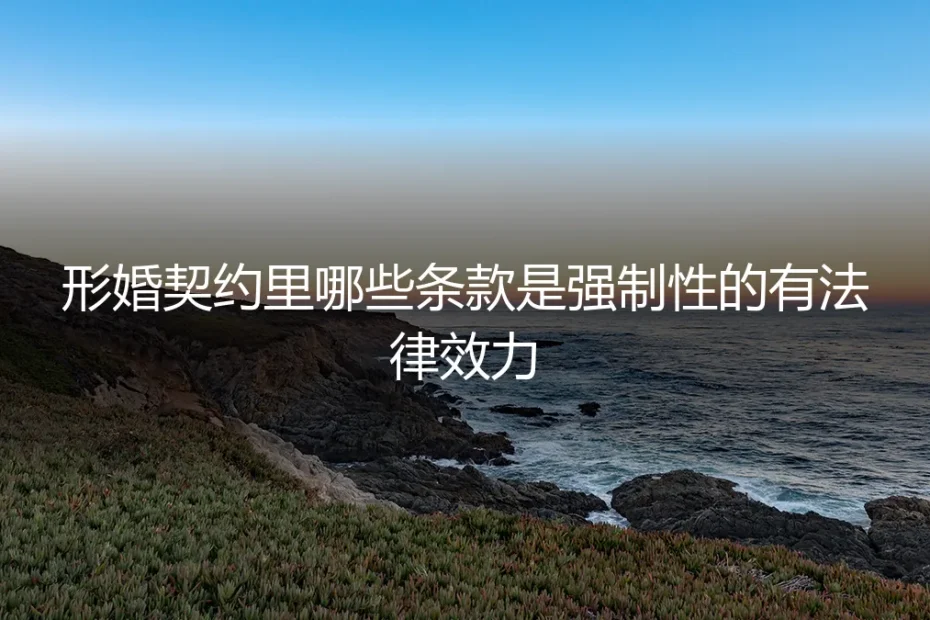 形婚契约里的“生死线”：哪些条款真正具有强制法律效力？