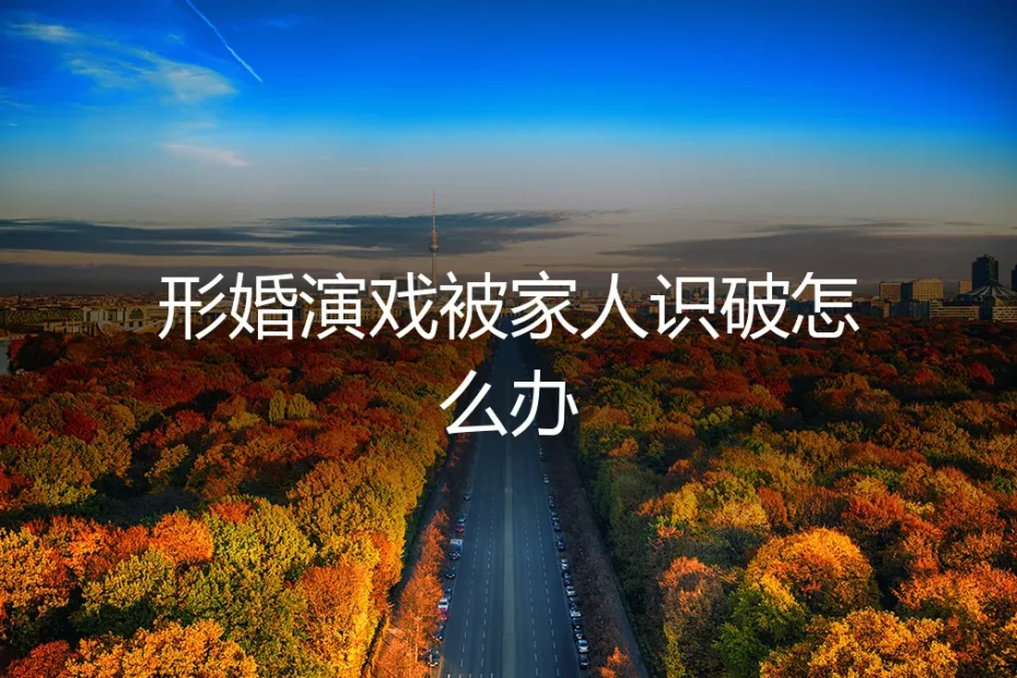 除夕夜的饺子：当我们的形婚戏码，在家人面前露出破绽