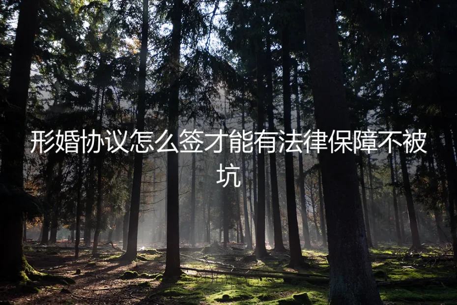 形婚协议怎么签才能有法律保障不被坑？保姆级实操避坑指南