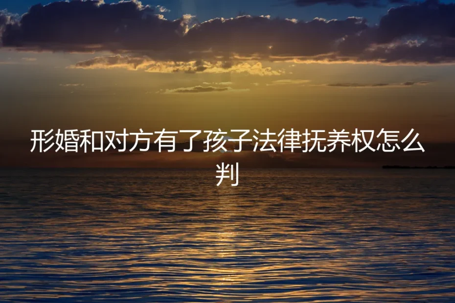 形婚生子后,抚养权归属的残酷真相与法律风险全解析