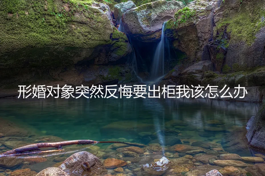 形婚对象突然反悔要出柜,我该怎么办?——一份冷静的风险应对指南