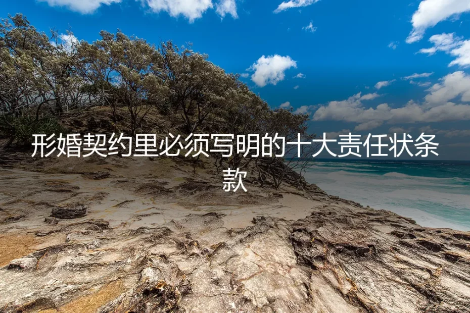 形婚契约里必须写明的十大责任状条款：一份规避风险的保姆级实操指南
