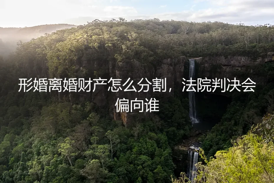 形婚离婚财产分割迷局:法院判决会偏向谁?真实案例深度剖析