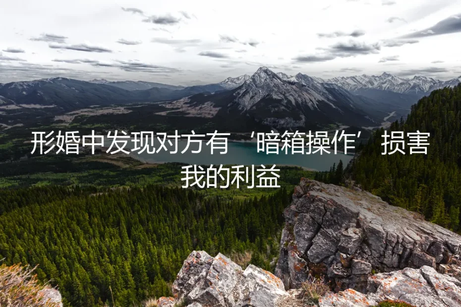 形婚暗礁：当“合作方”的暗箱操作侵蚀你的利益