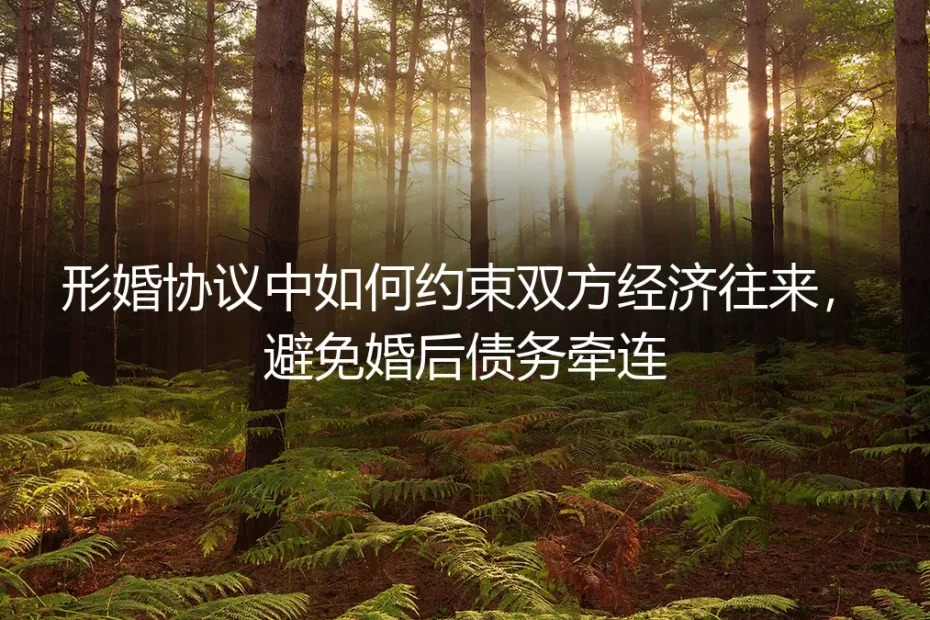 形婚协议经济条款全解析：如何约束双方经济往来，避免婚后债务牵连