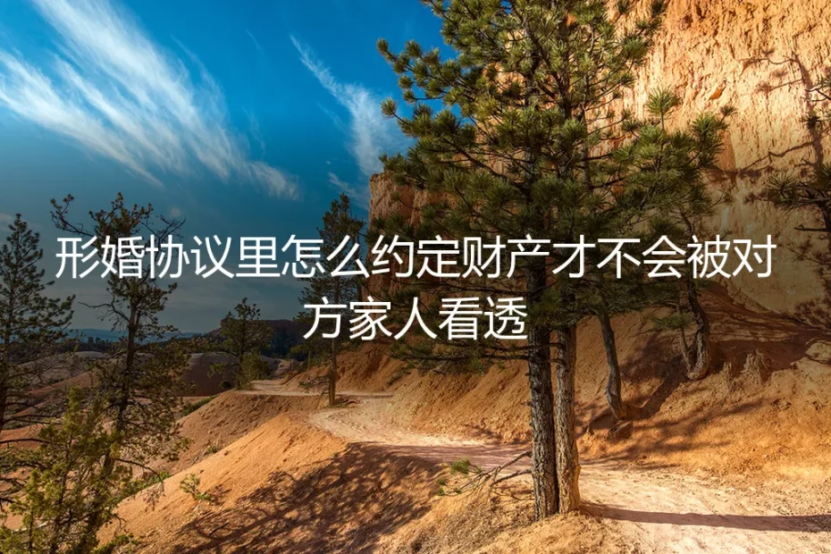 形婚财产协议隐形指南：如何约定才不会被对方家人看透？
