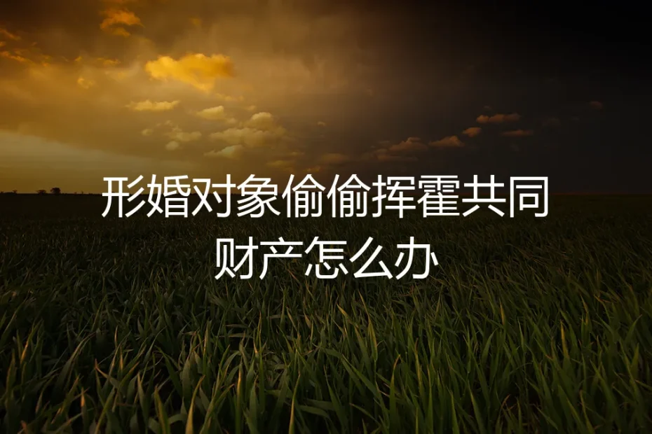 形婚财产危机：当“另一半”偷偷挥霍共同财产，如何破局与止损？